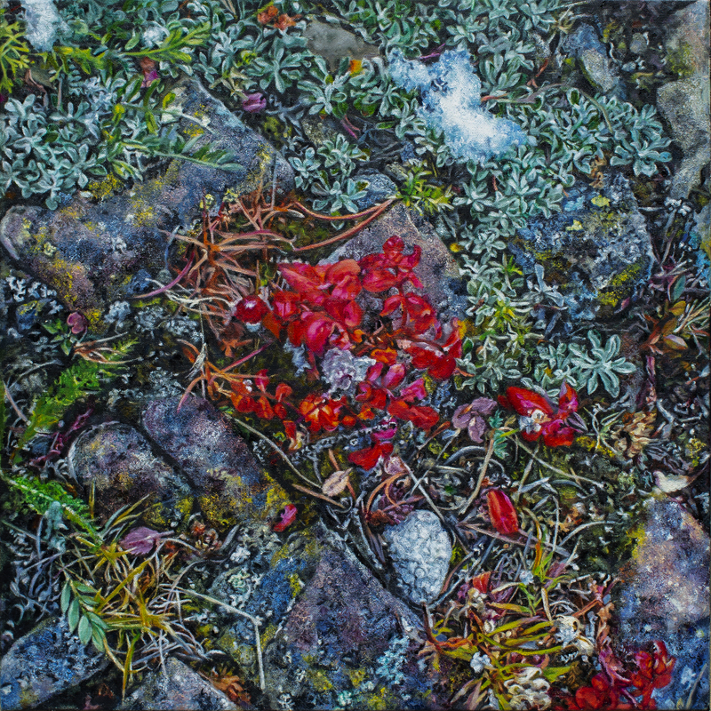 Cobble Flats Fall Groundscape