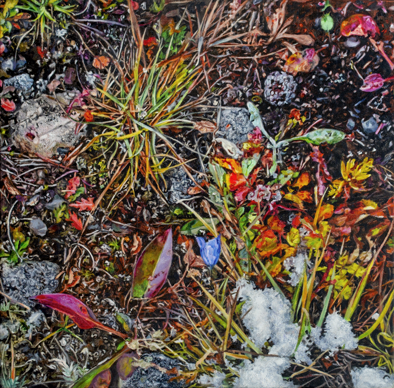 Cobble Flats Fall Groundscape no.2