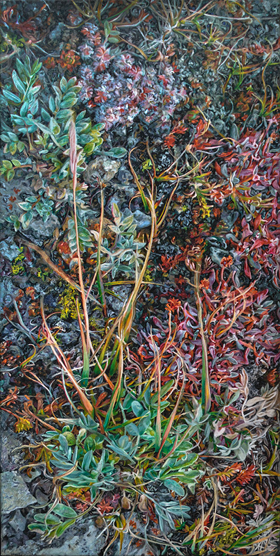 Fall Groundscape Forgetmenot Ridge