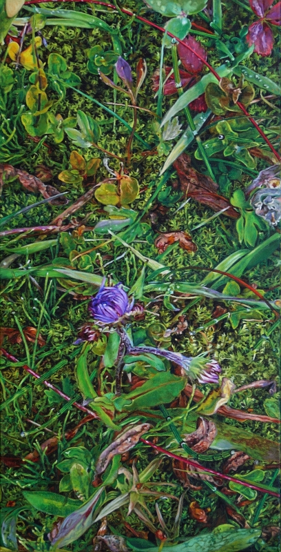 Late Summer, Mt Assiniboine