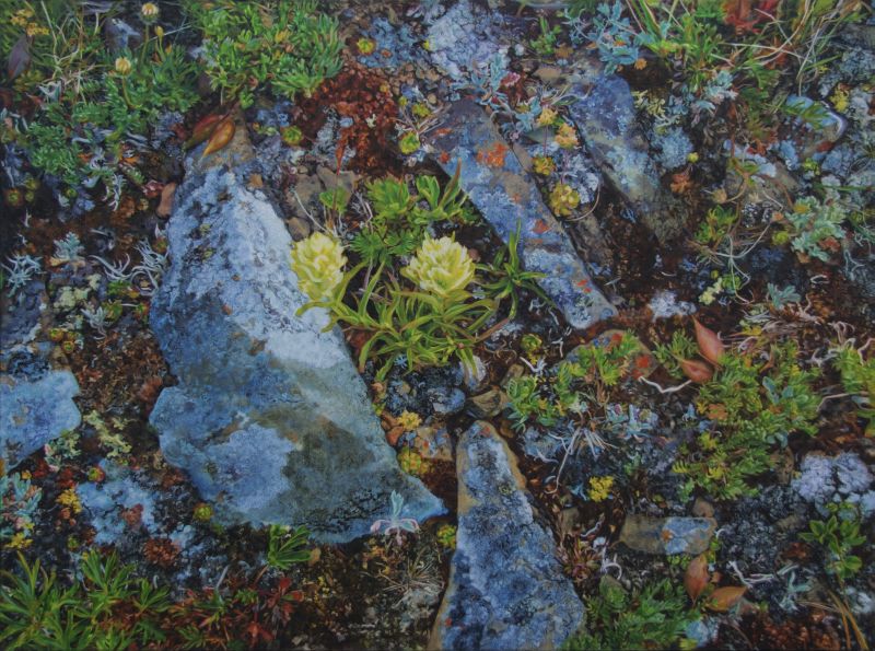 Blue Rocks on Sunset Pass