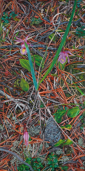 Calypso Orchid Triad