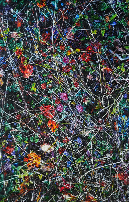 Fall Foliage on Black Ground