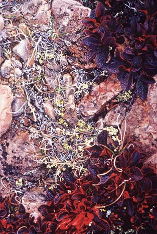 September Groundscape on Centennial Ridge # 1