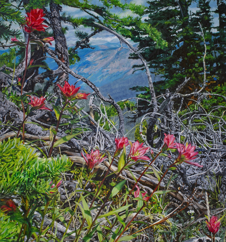 Waterton Lakes Before the Fire