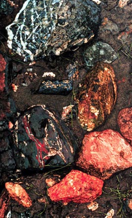 Firth River Shoreline